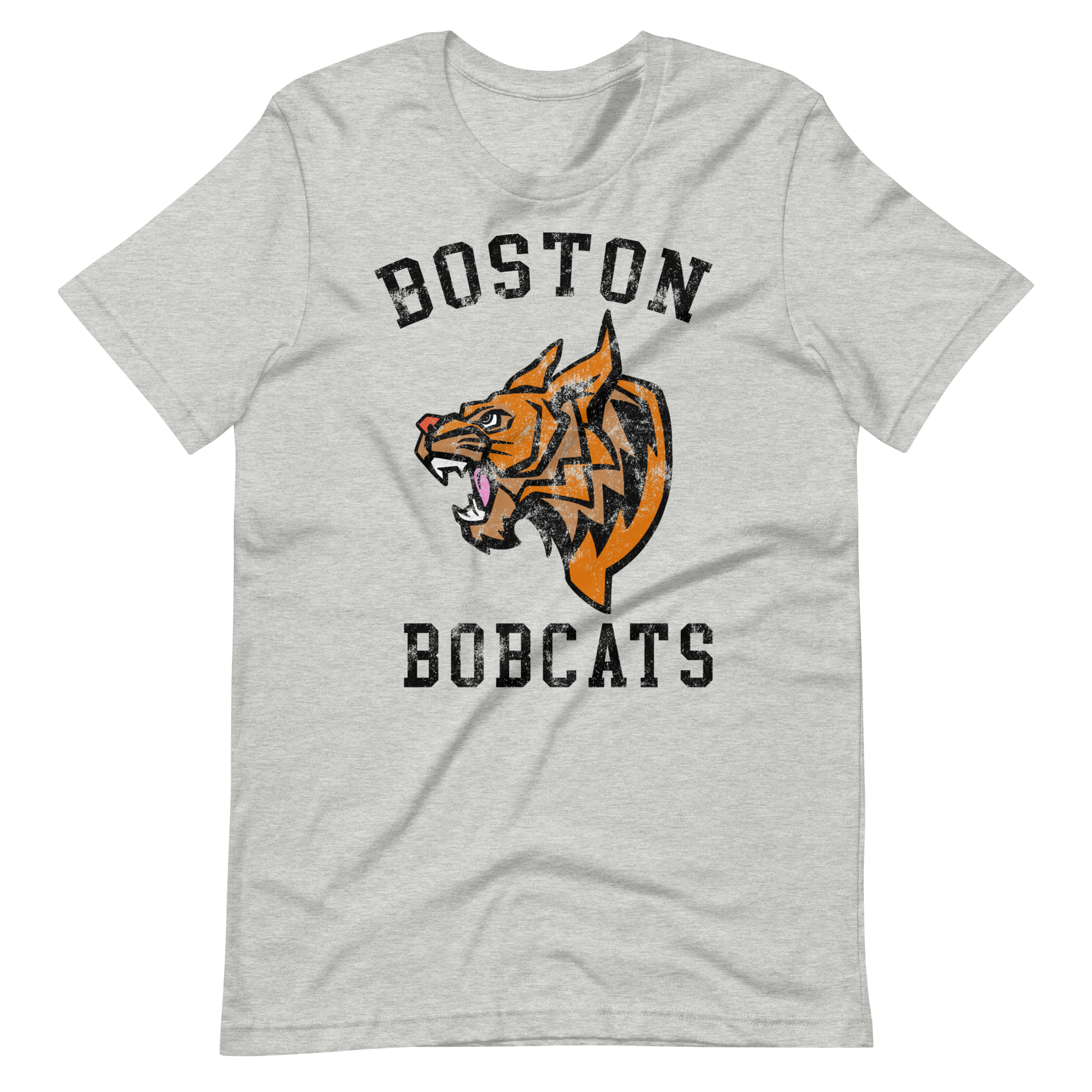 Boston Bobcats