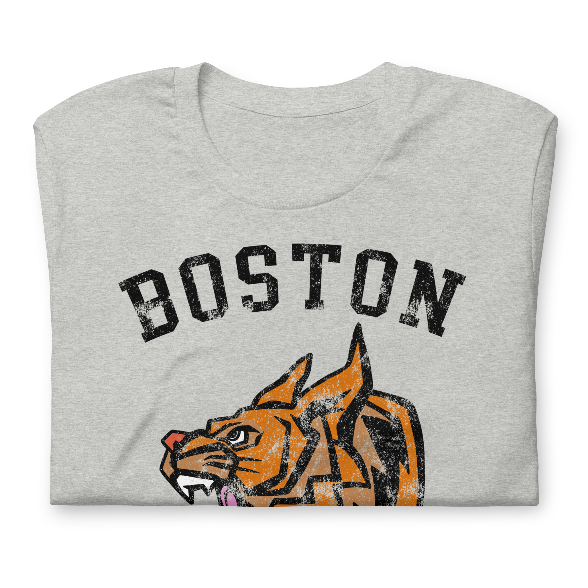Boston Bobcats