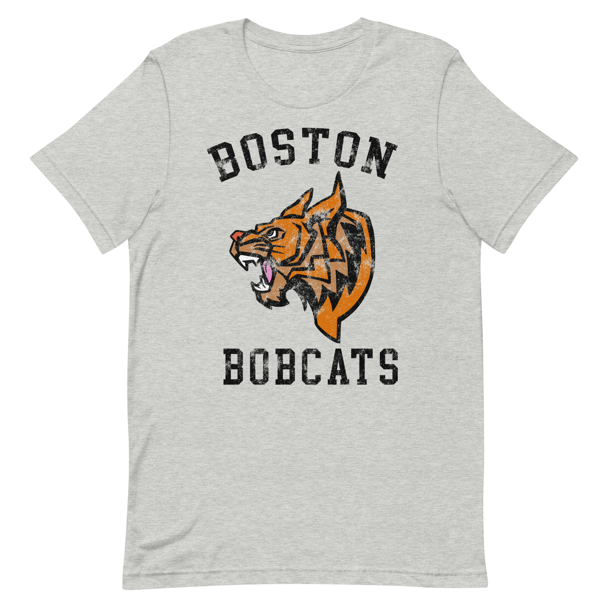 Boston Bobcats