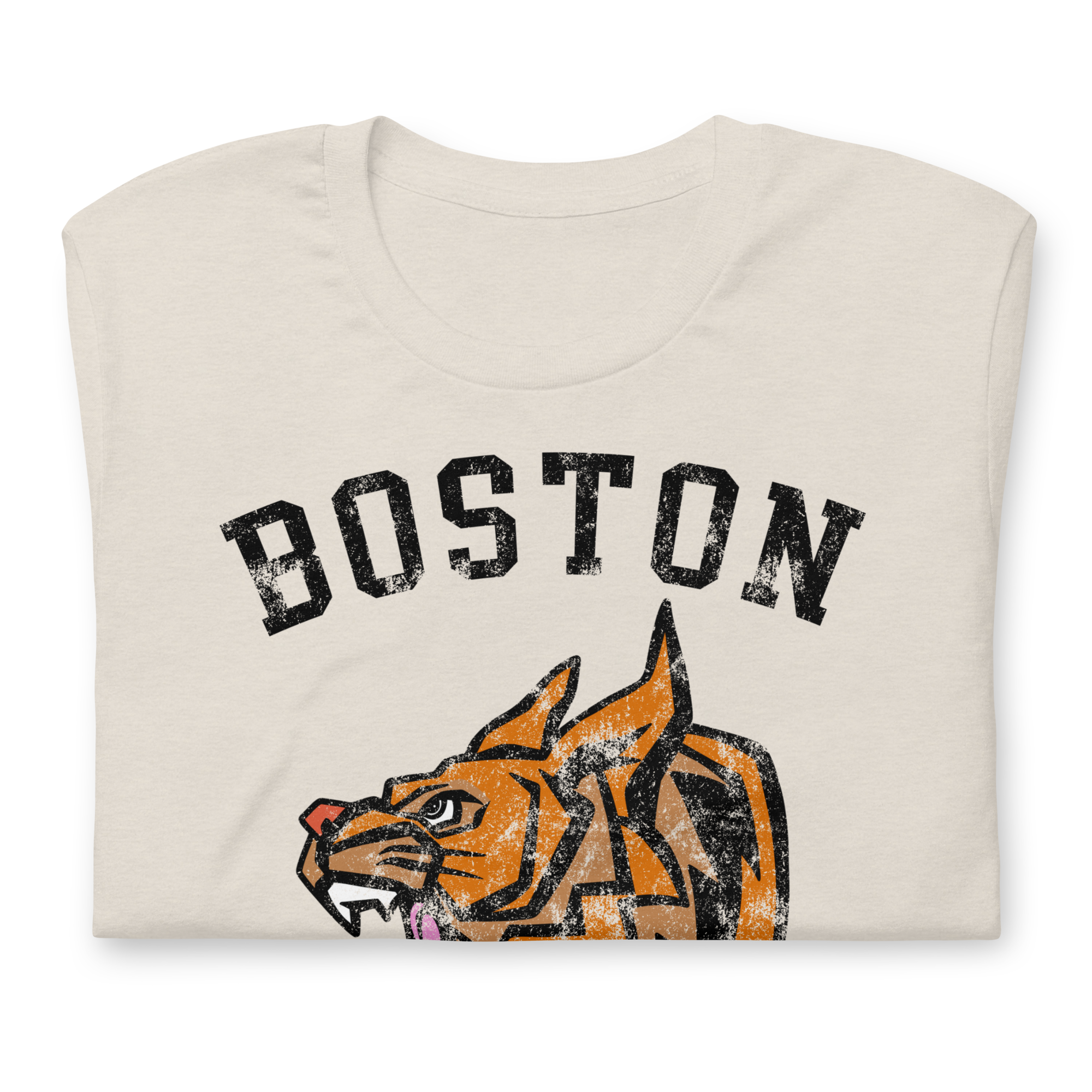 Boston Bobcats