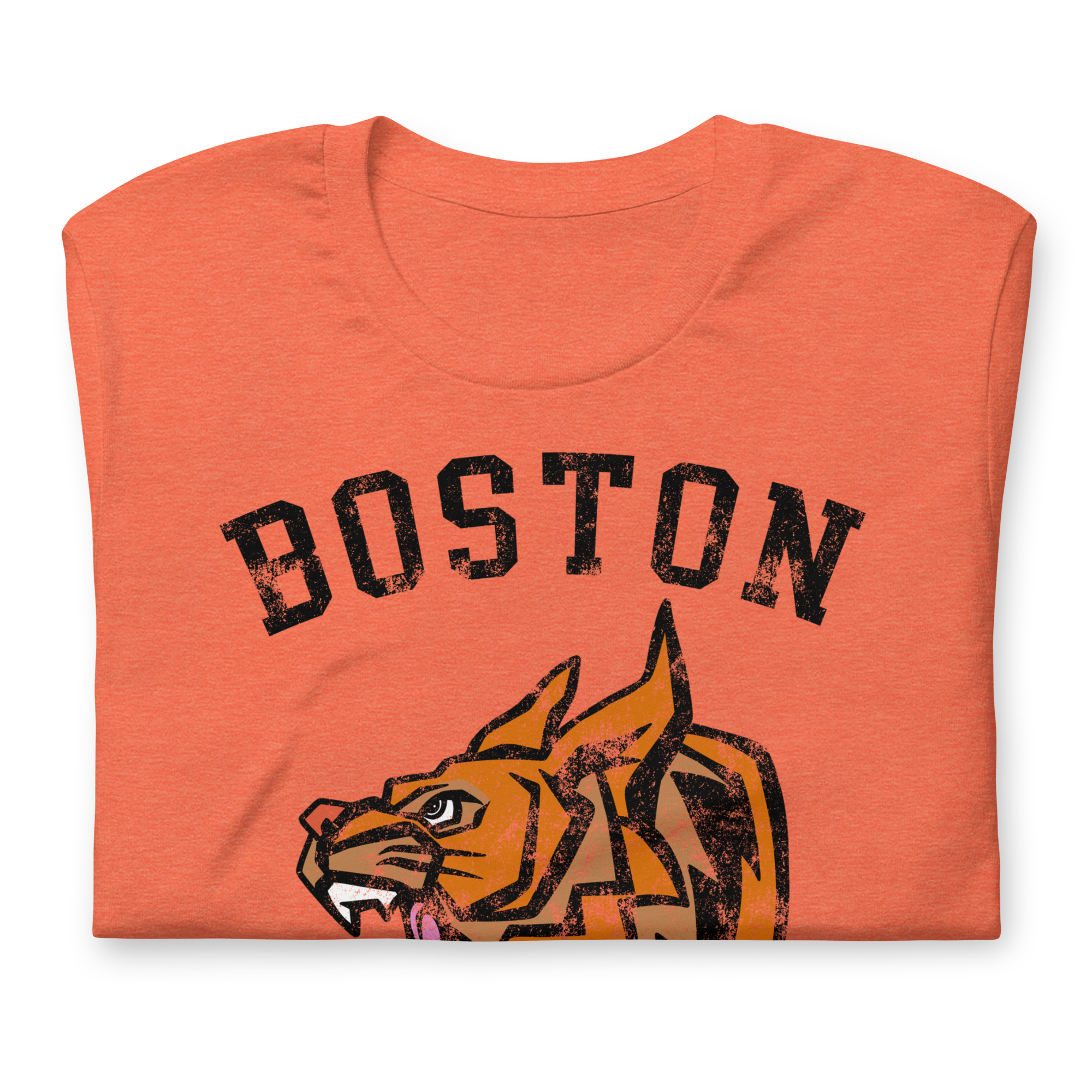 Boston Bobcats