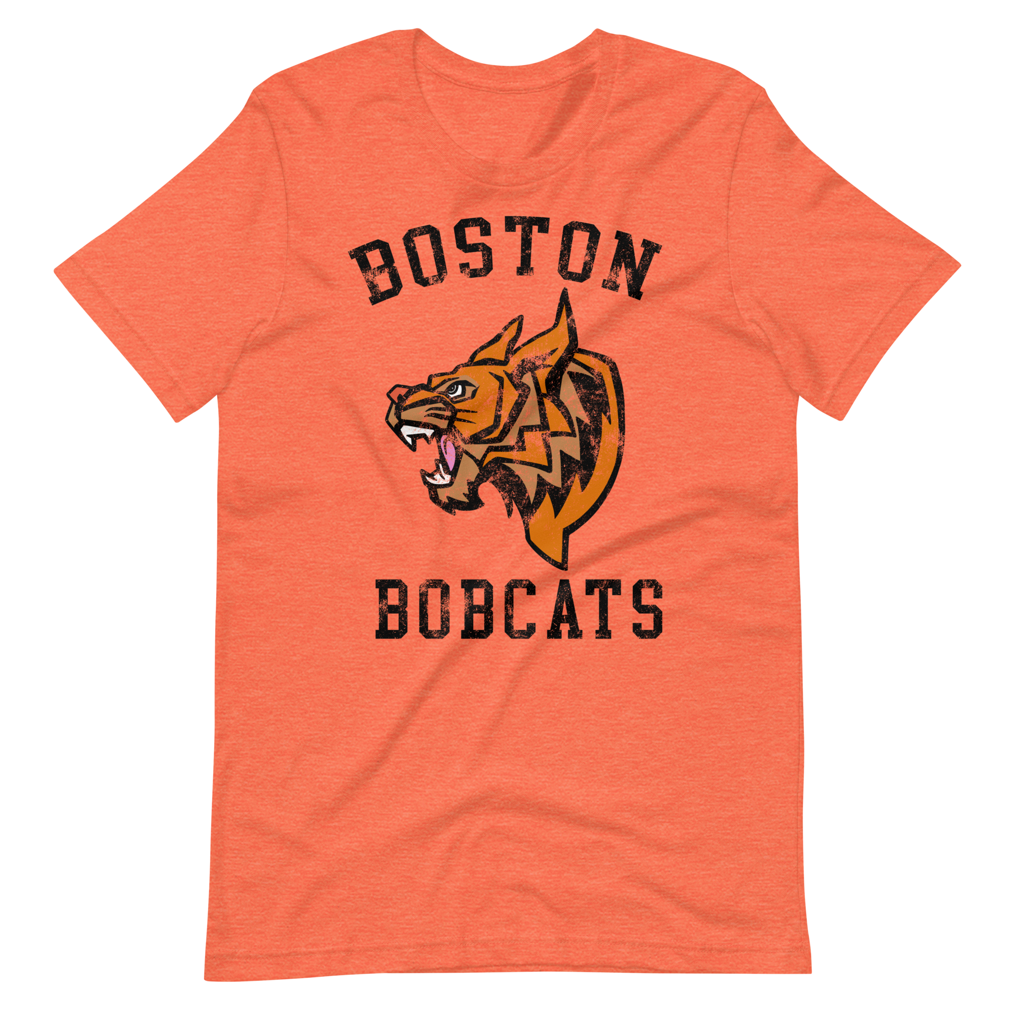 Boston Bobcats
