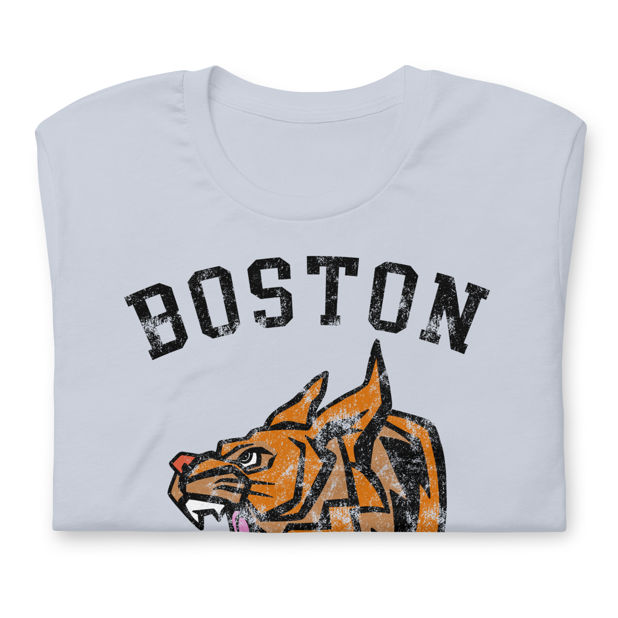 Boston Bobcats