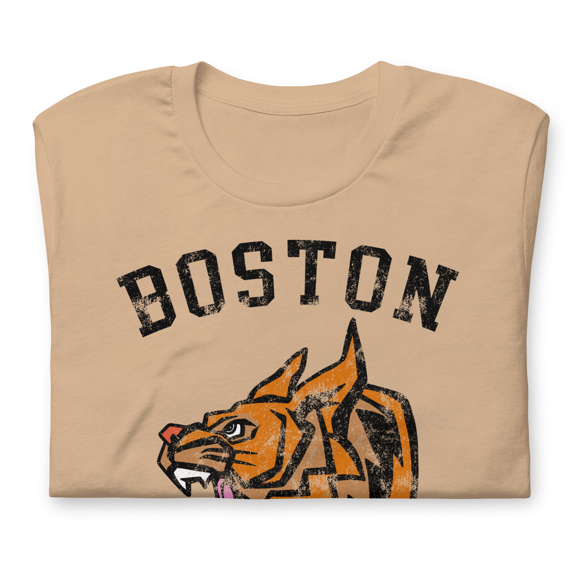 Boston Bobcats