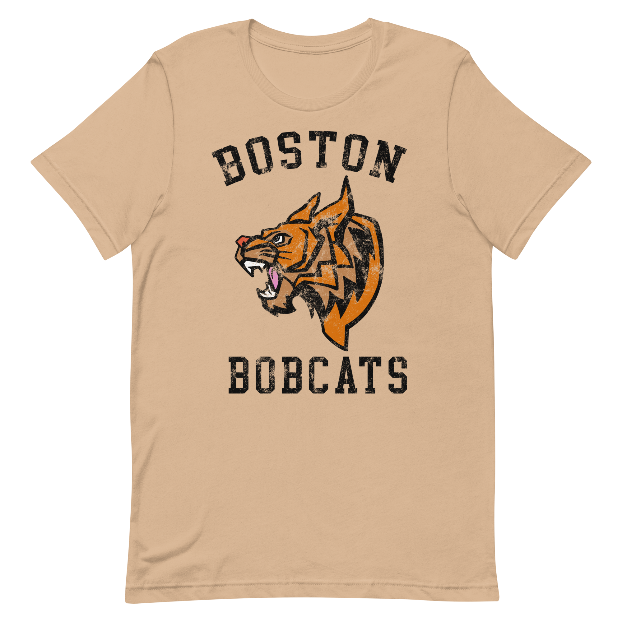 Boston Bobcats